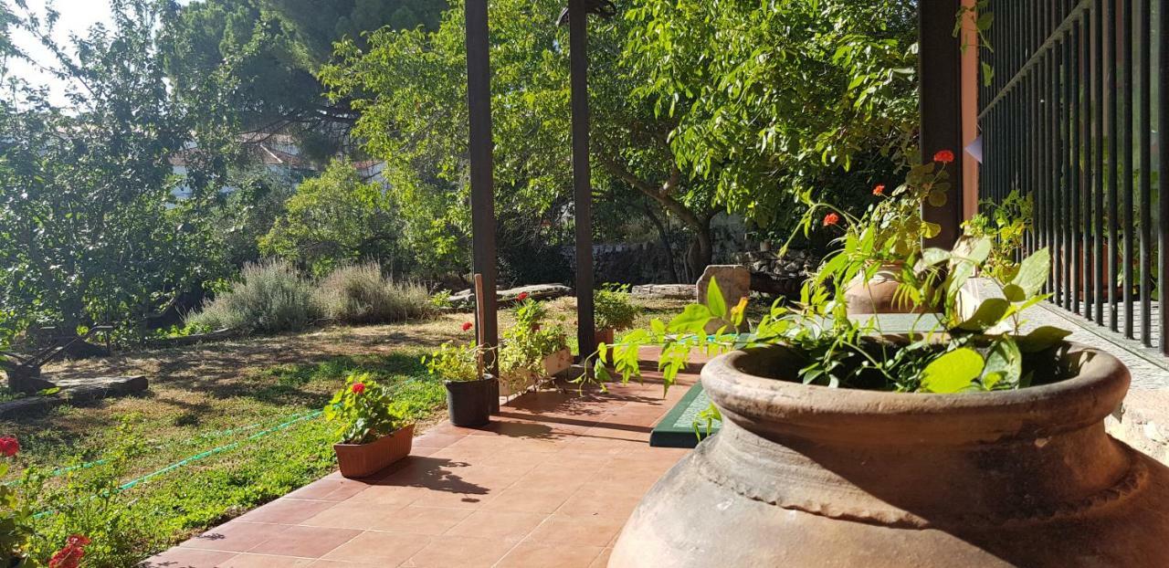 Apartamentossierradegata La Noguera Villamiel Exteriér fotografie